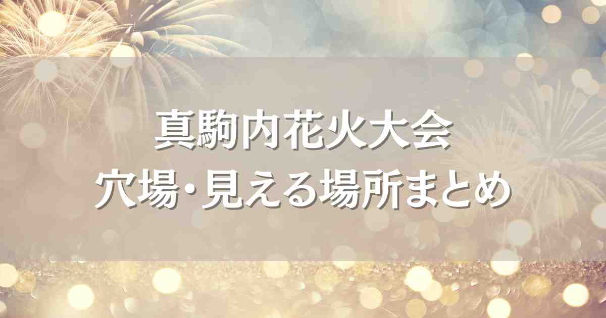 真駒内花火大会2025の見える場所や無料穴場スポット4選！どこから見えるか徹底調査！