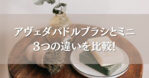 アヴェダパドルブラシとミニの3つの違いを比較！どっちがいいのか口コミも徹底調査