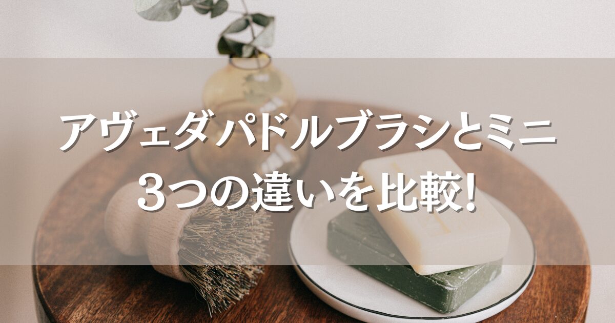 アヴェダパドルブラシとミニの3つの違いを比較！どっちがいいのか口コミも徹底調査