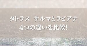 タトラスのサルマとラビアナの4つの違いを徹底！シルエットや素材の特徴を徹底解説